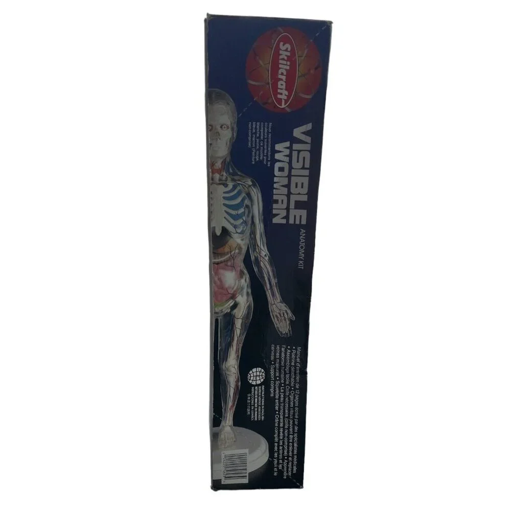 Skilcraft Visible Woman Anatomy  Model Kit Original Box 15” Tall Never Assembled